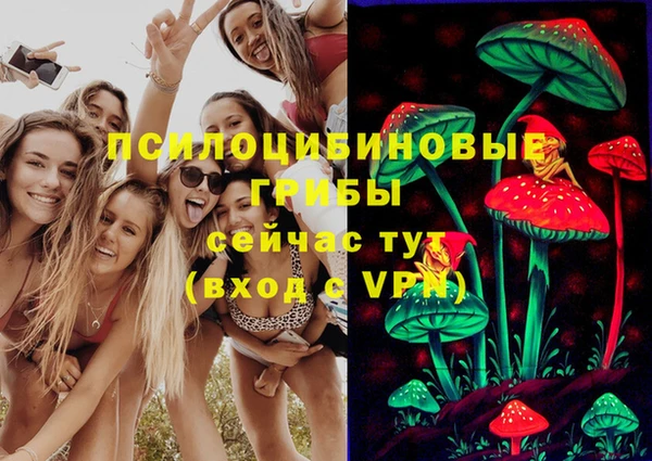 мяу мяу кристалл Дмитров