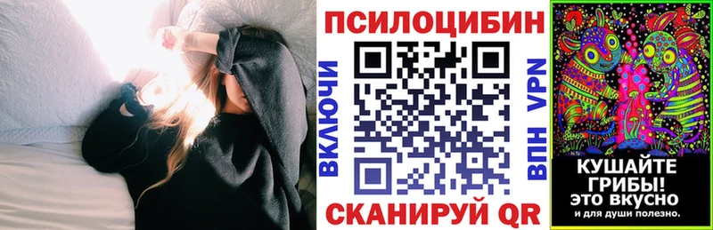 KRAKEN ссылка  Каргополь  Псилоцибиновые грибы Psilocybine cubensis  дарнет шоп 